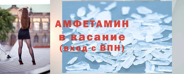 индика Беломорск
