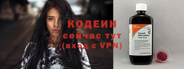 индика Беломорск