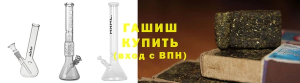 индика Беломорск