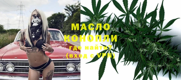 индика Беломорск