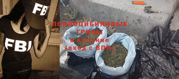 индика Беломорск