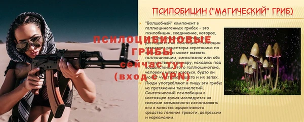 метадон Ветлуга