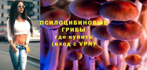 индика Беломорск