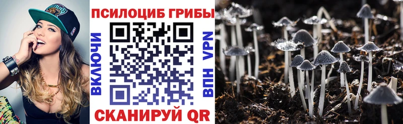 Псилоцибиновые грибы Magic Shrooms  Мариинский Посад 